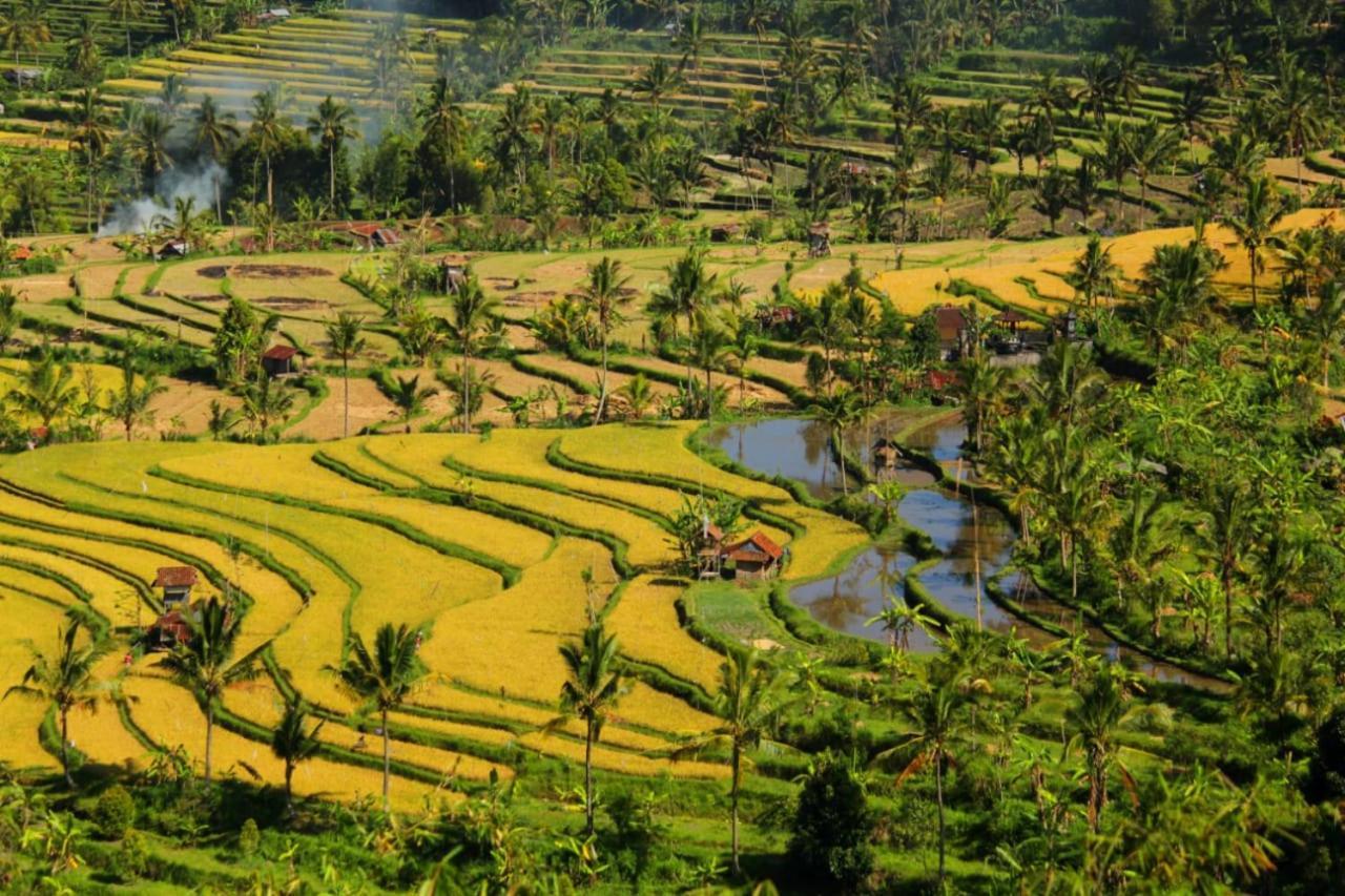 Bali Munduk Delux Bungalow Villa Singaraja  Luaran gambar