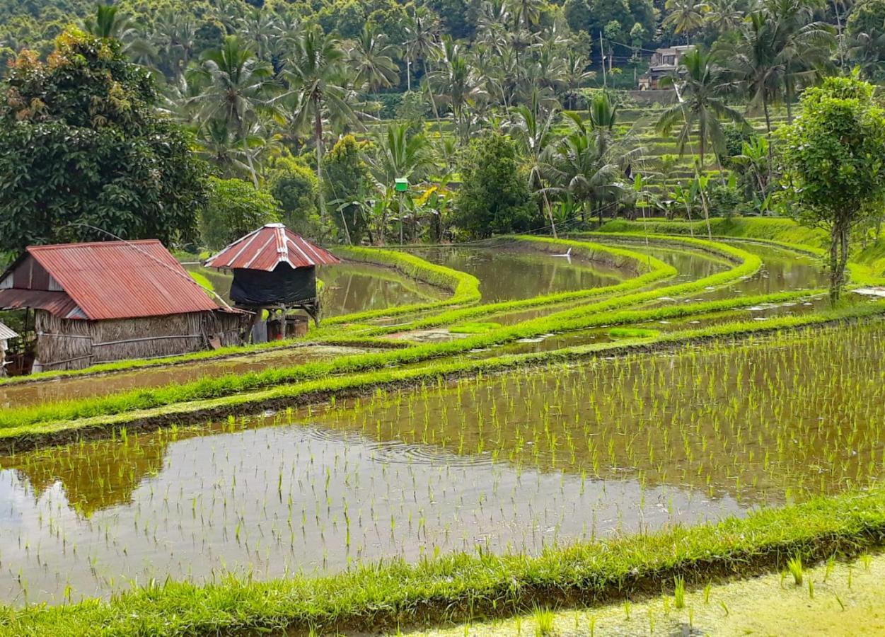 Bali Munduk Delux Bungalow Villa Singaraja  Luaran gambar