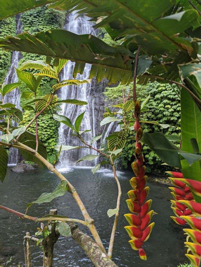 Bali Munduk Delux Bungalow Villa Singaraja  Luaran gambar