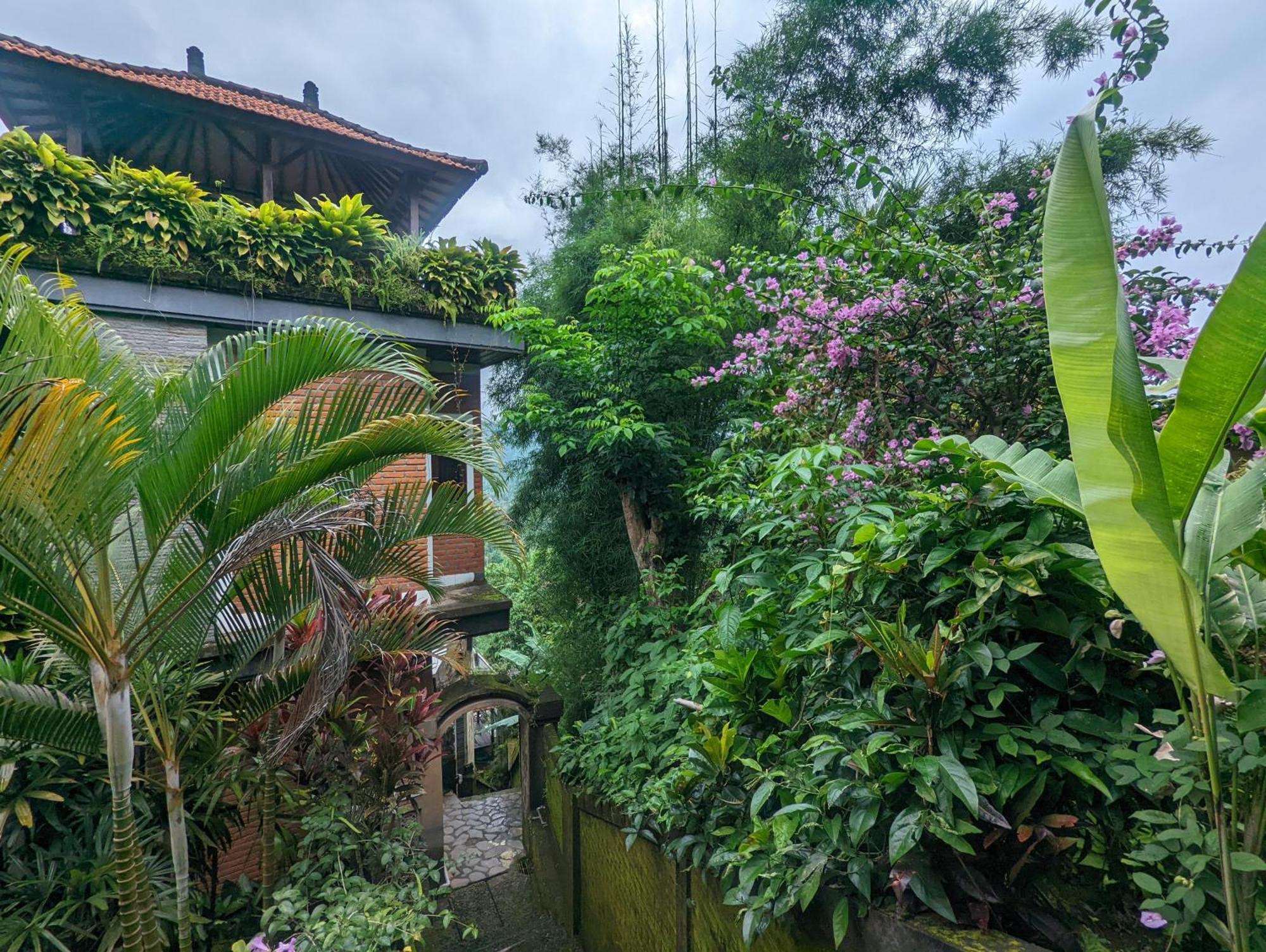 Bali Munduk Delux Bungalow Villa Singaraja  Luaran gambar