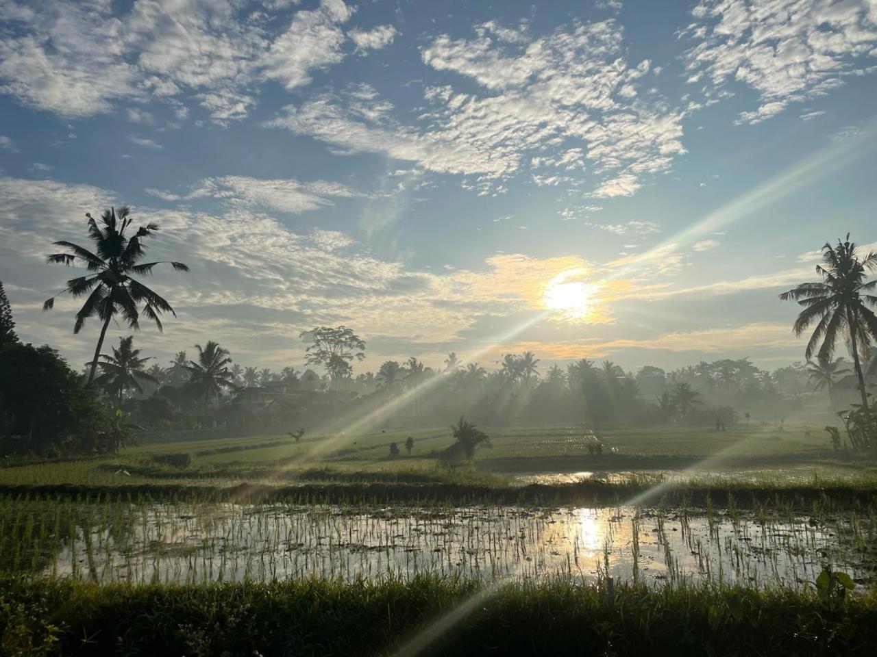 Bali Munduk Delux Bungalow Villa Singaraja  Luaran gambar